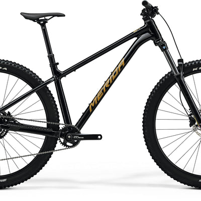 Big Trail 300 - Black (Brown)