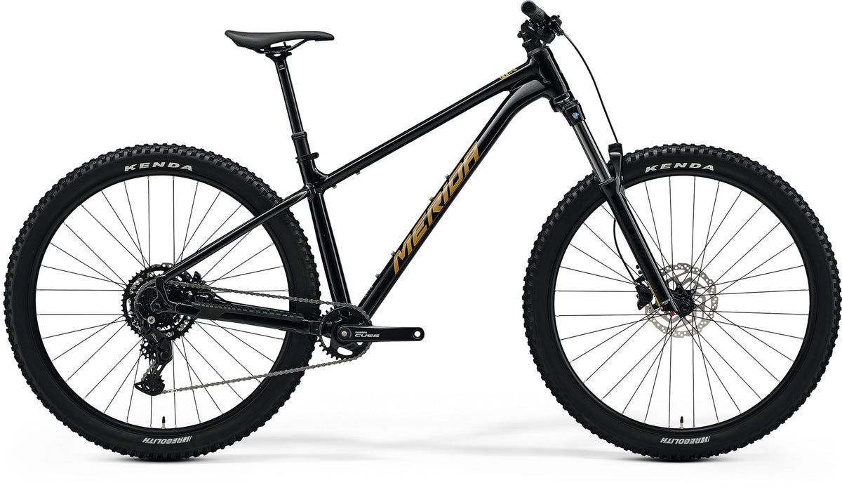 Big Trail 300 - Black (Brown)