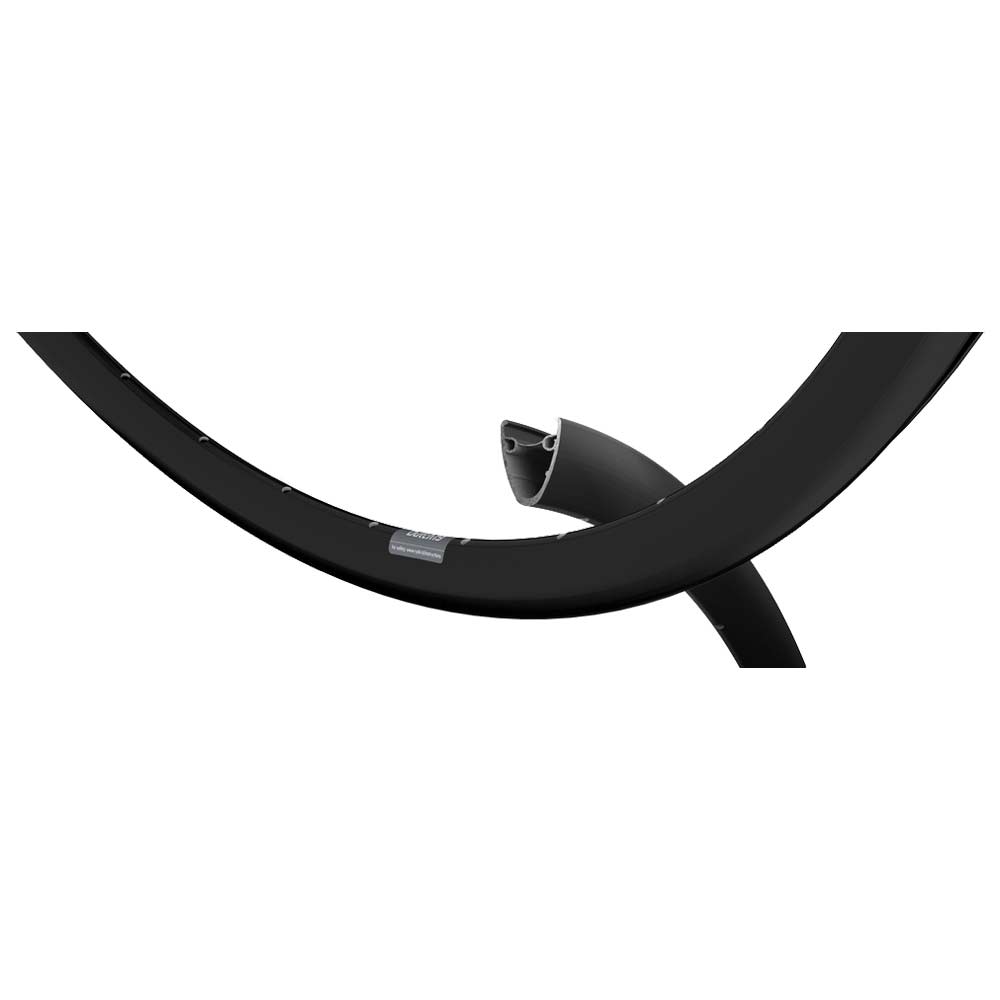 Dutch 19 Disc Rims