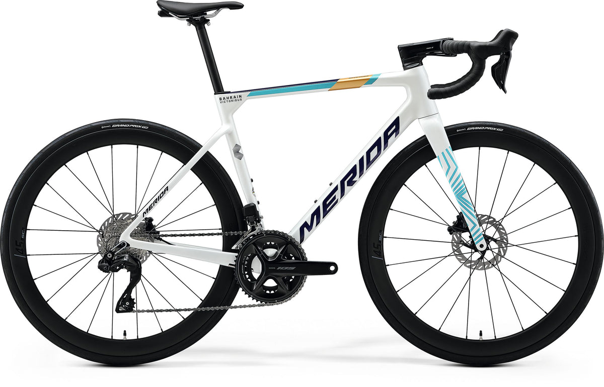 Scultura 6000 - Teal/Pearl (Team)