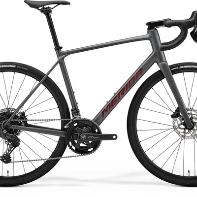 Scultura Endurance 300 - Silk Cool Grey (Red)
