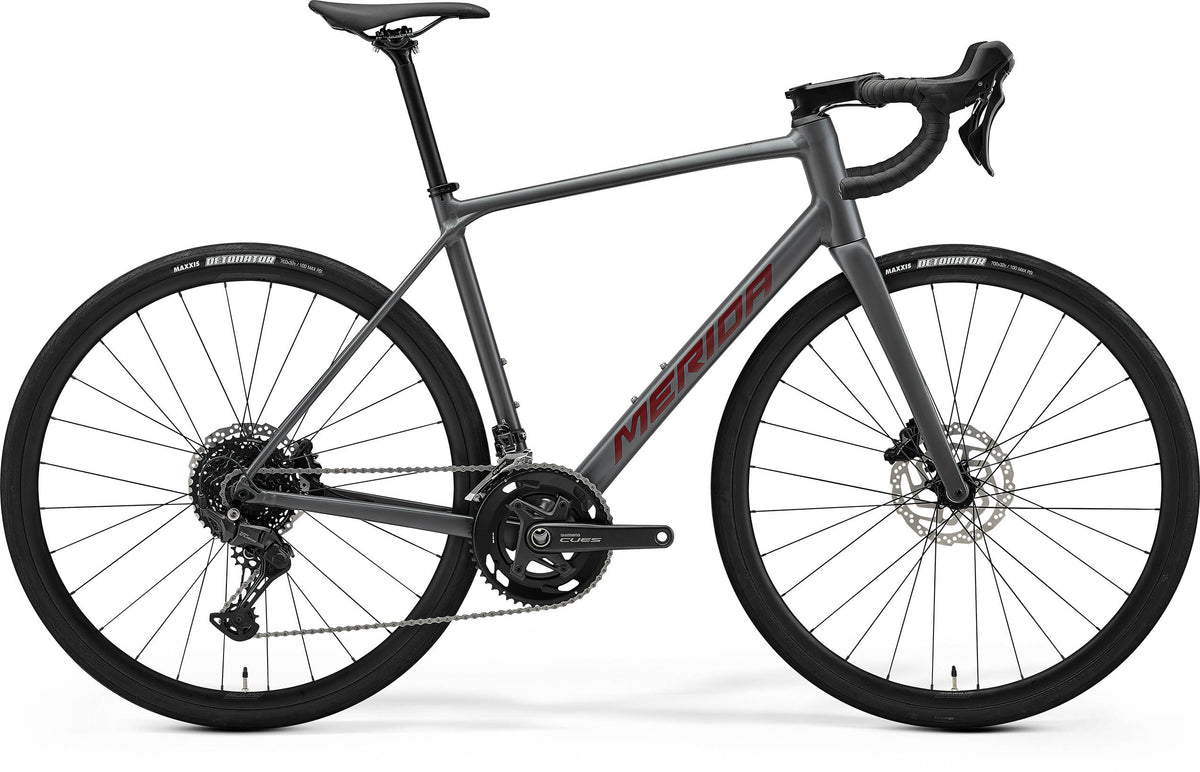 Scultura Endurance 300 - Silk Cool Grey (Red)