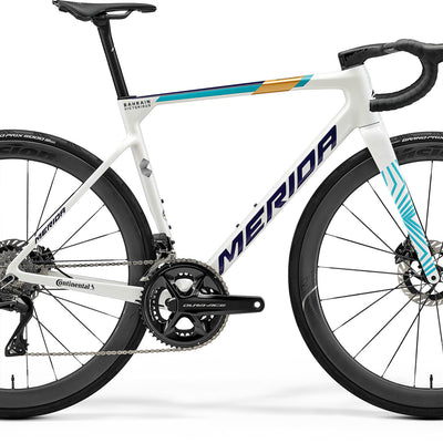 Scultura Team - Teal/Pearl (Team)