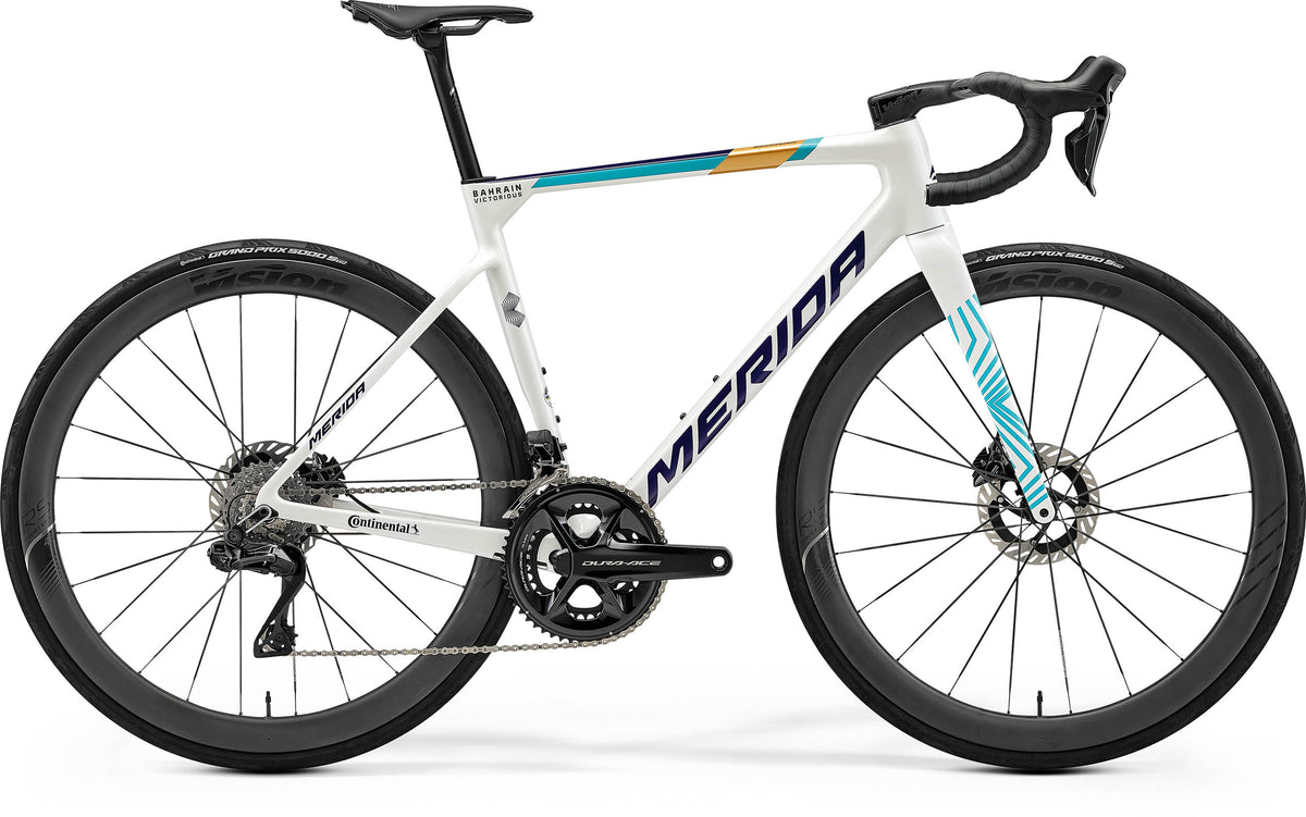 Scultura Team - Teal/Pearl (Team)