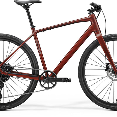 Speeder 300 - Elegant Wildberry (Silver)