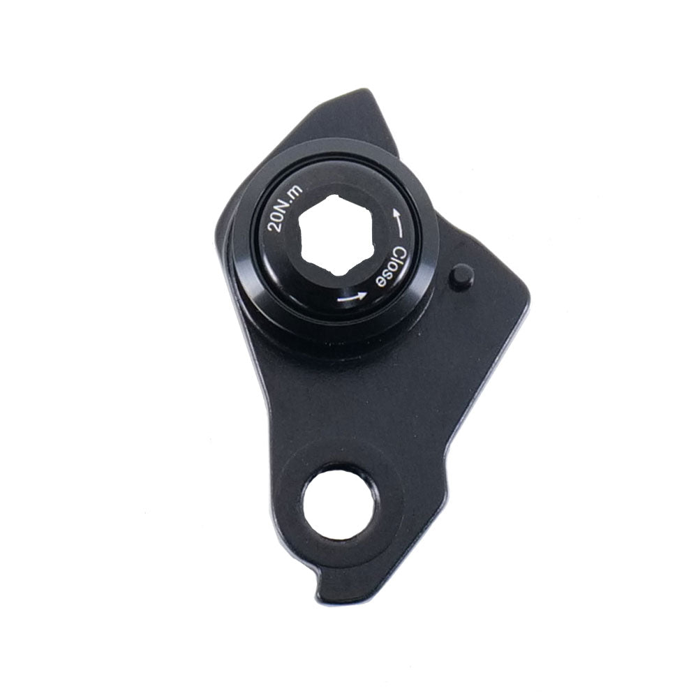 Universal Derailleur Hanger (UDH)
