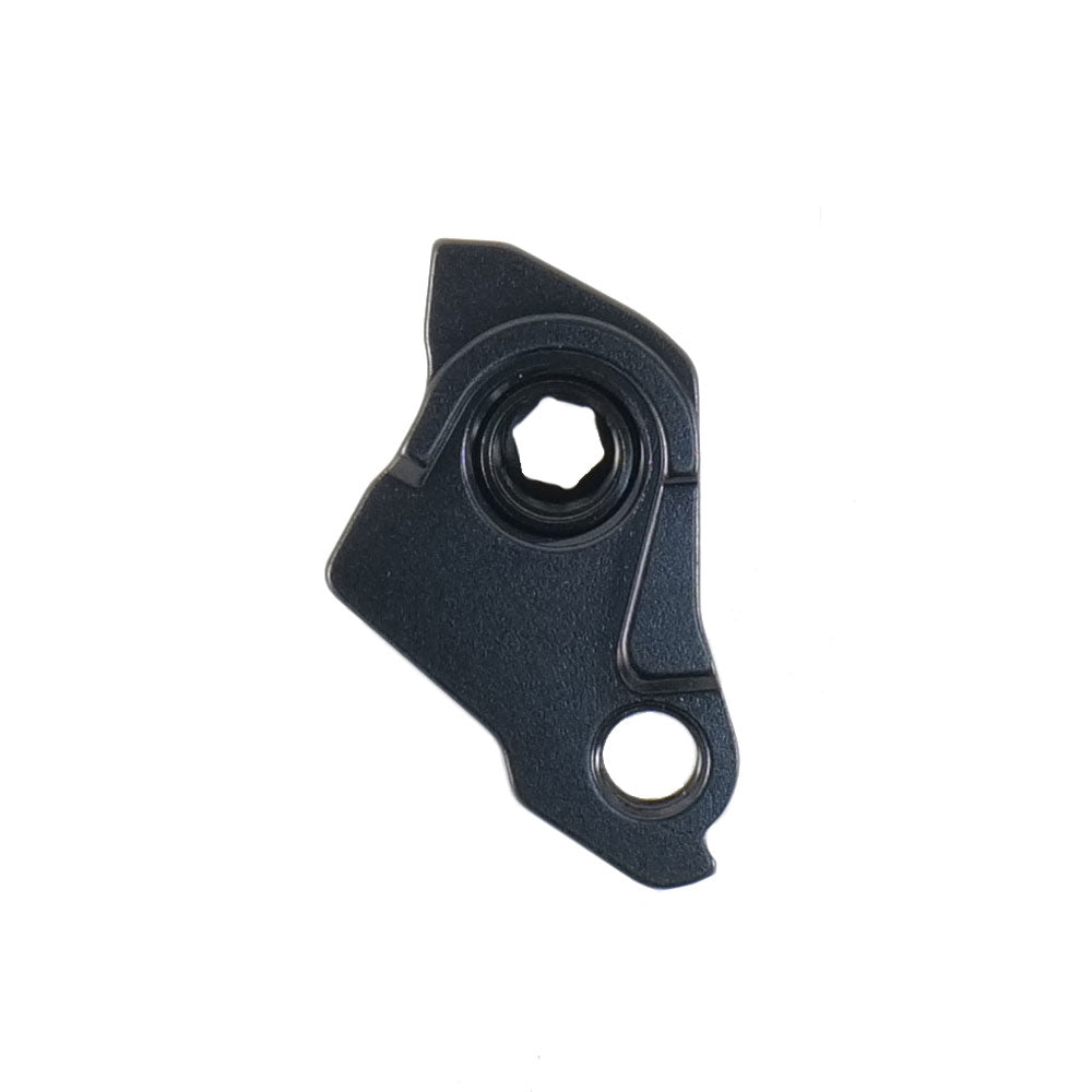 Universal Derailleur Hanger (UDH)
