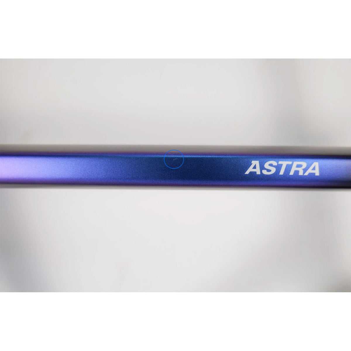 Astra Disc Ex Demo Medium Frameset Chameleon