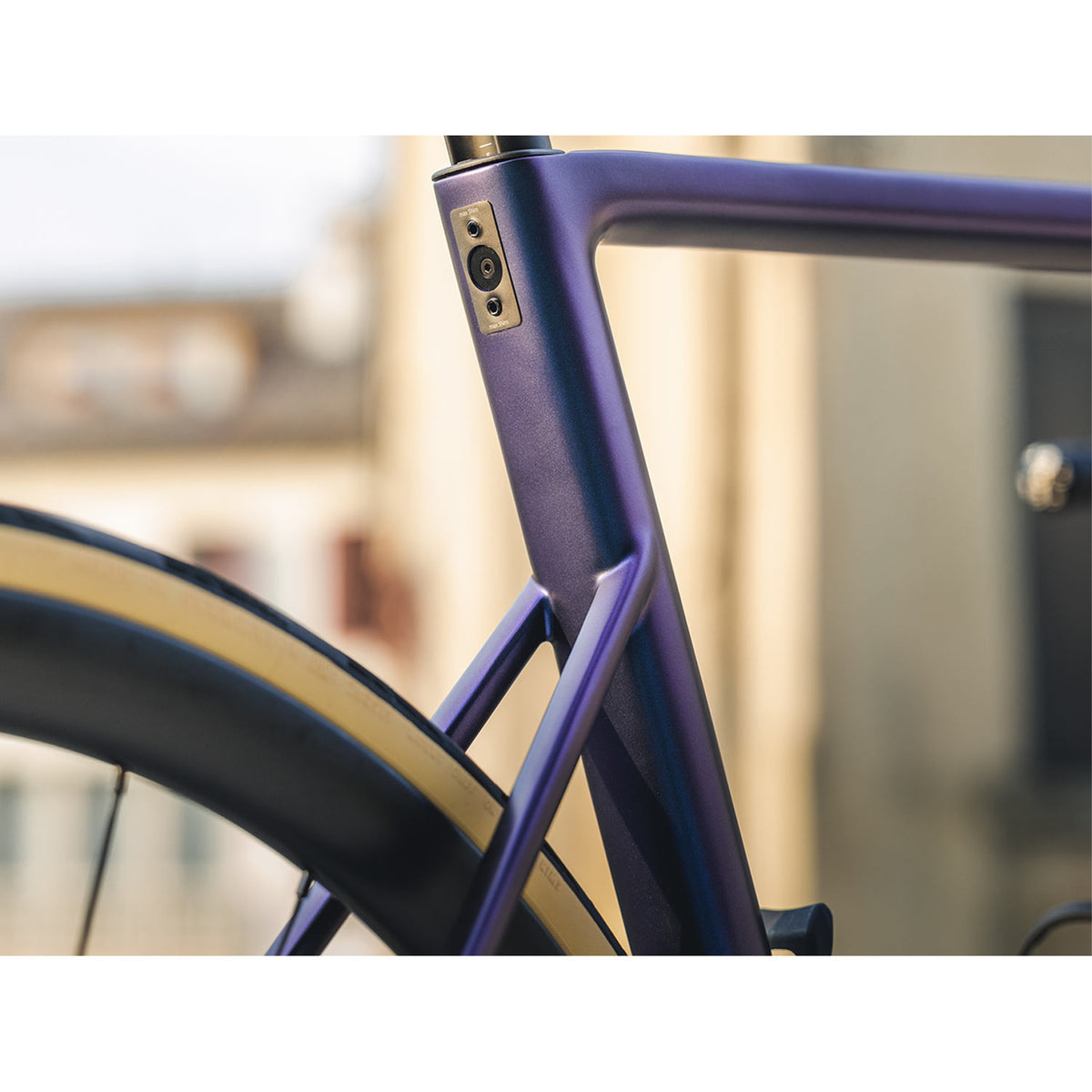 Astra Frameset Chameleon