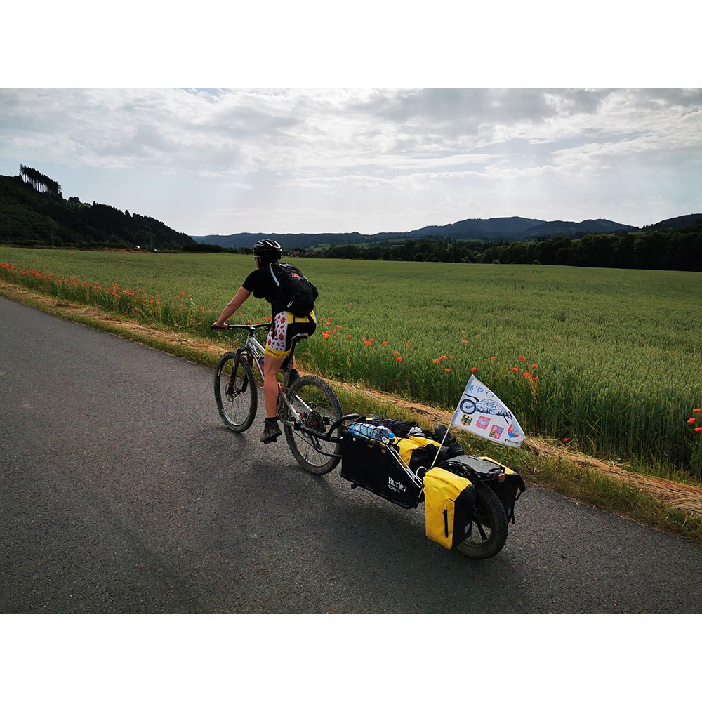 Coho XC Cargo Bike Trailer