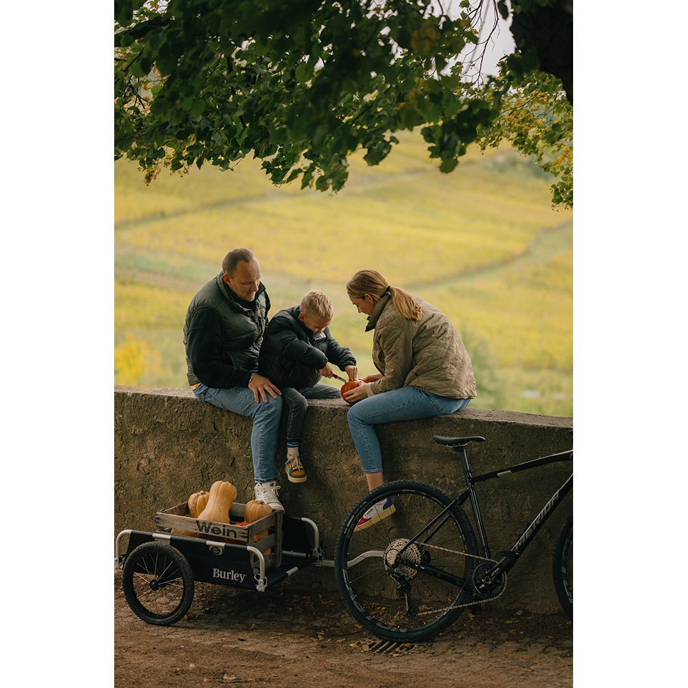 Flatbed Cargo Bike Trailer