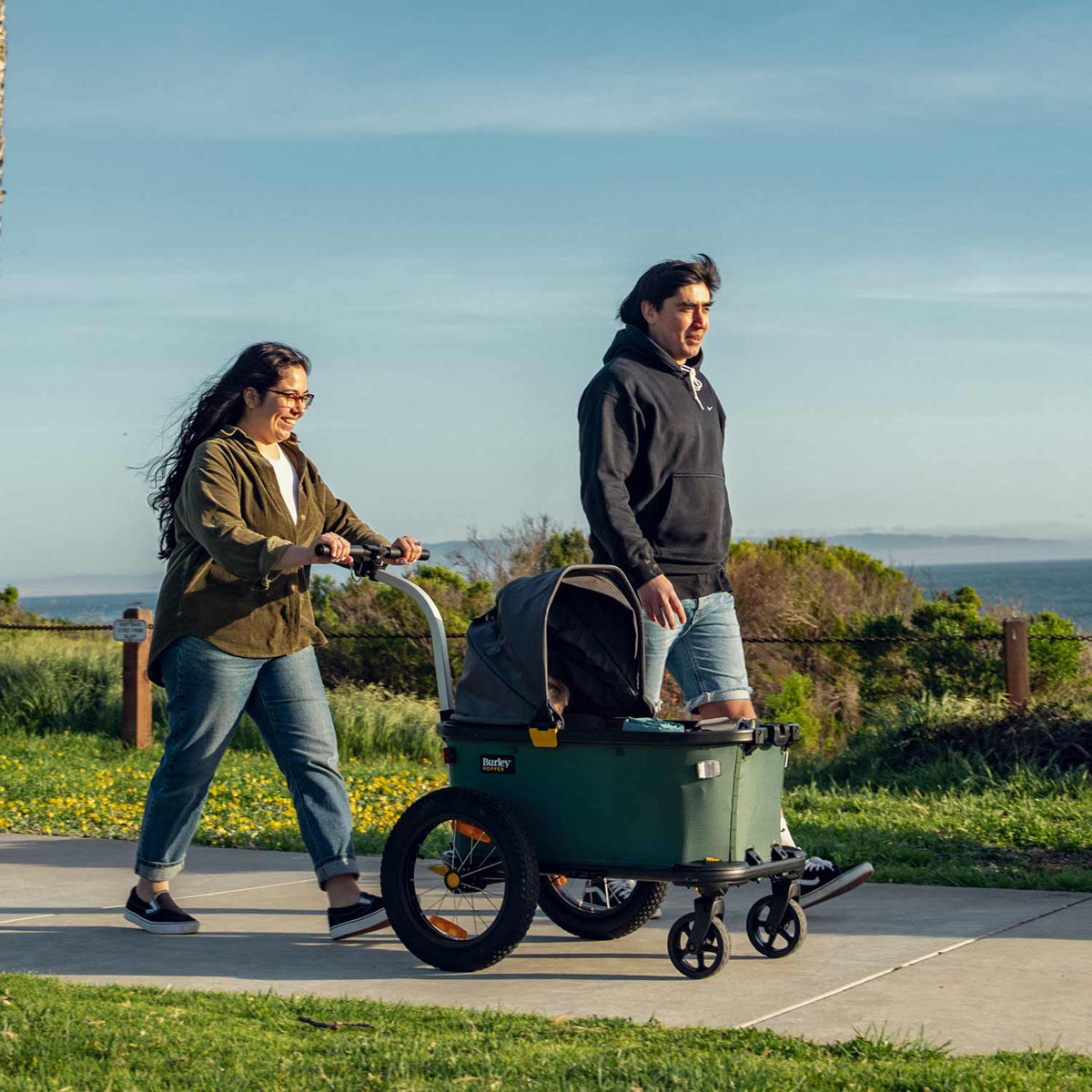 Hopper Bike Trailer