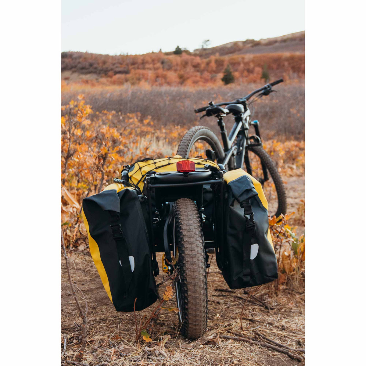 Pannier Set