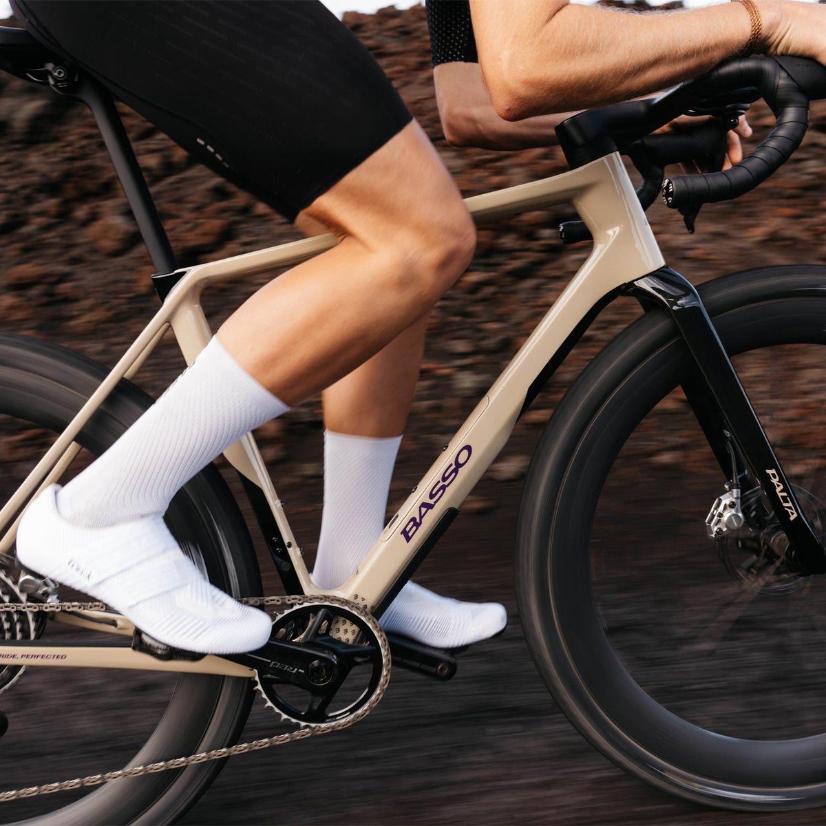 Palta III GRX 12x Purple Dust Bike