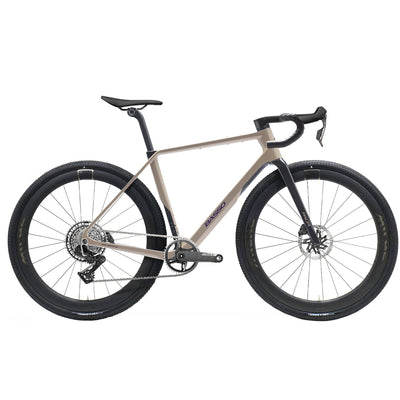 Basso Bikes Palta III Force Purple Dust Bike