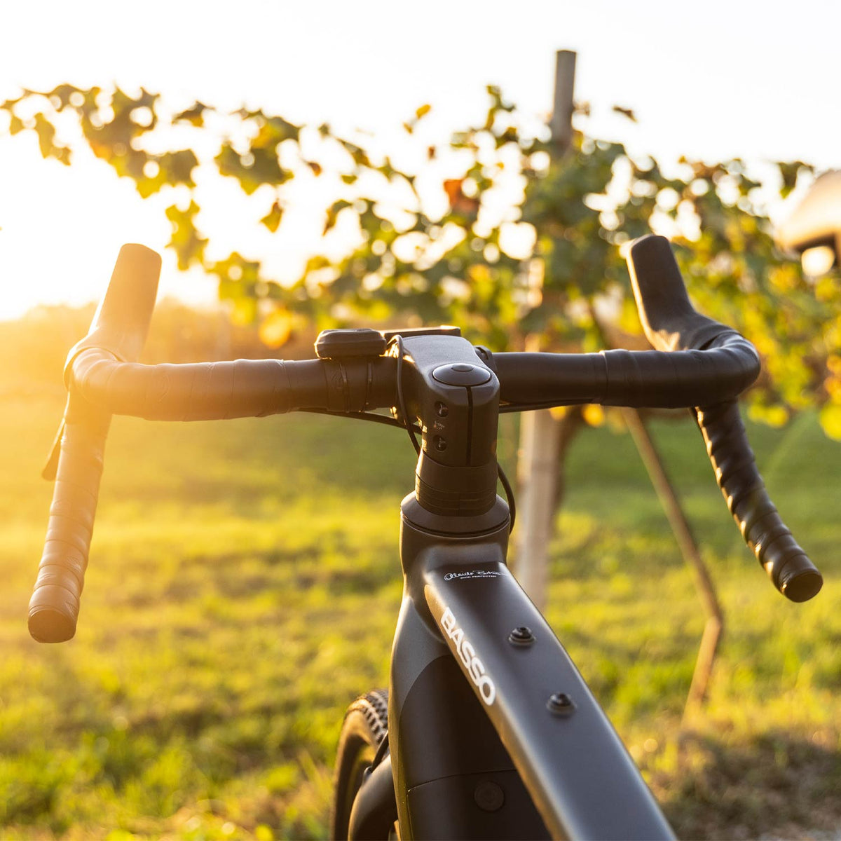 Vega Alu Gravel GRX Black E-Bike