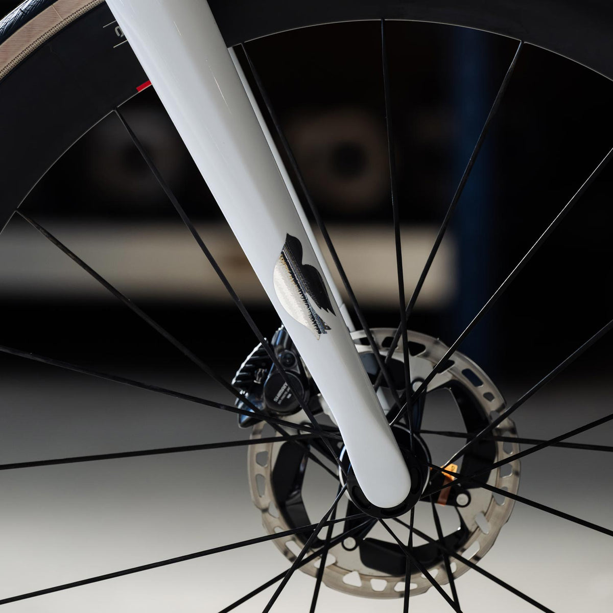 Speciale Corsa XCR Frameset