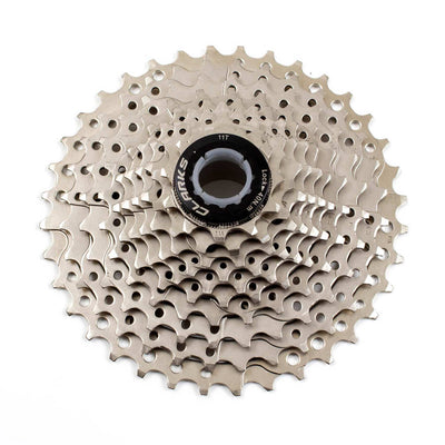 10x Cassette