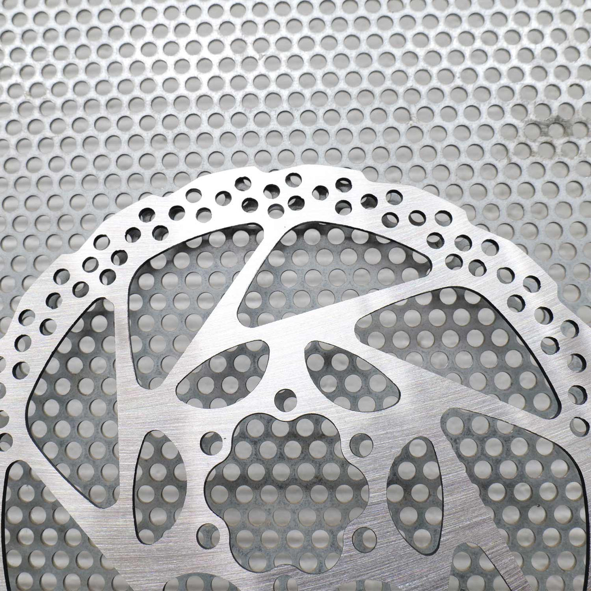 TL-027 Stainless Steel 6 Bolt Rotor 10 Pack