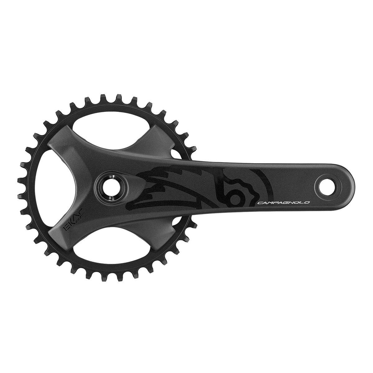 Ekar GT 13x Chainset