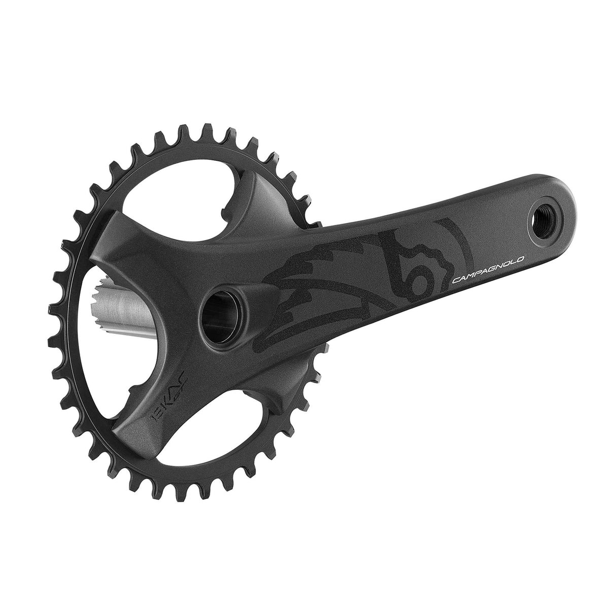 Ekar GT 13x Chainset