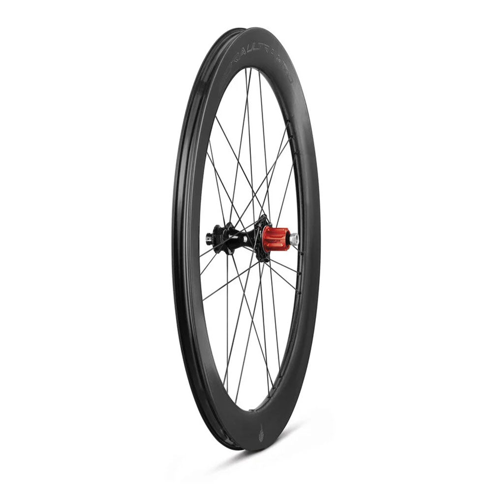 Bora Ultra WTO 60 2-Way C23 Disc Chrome