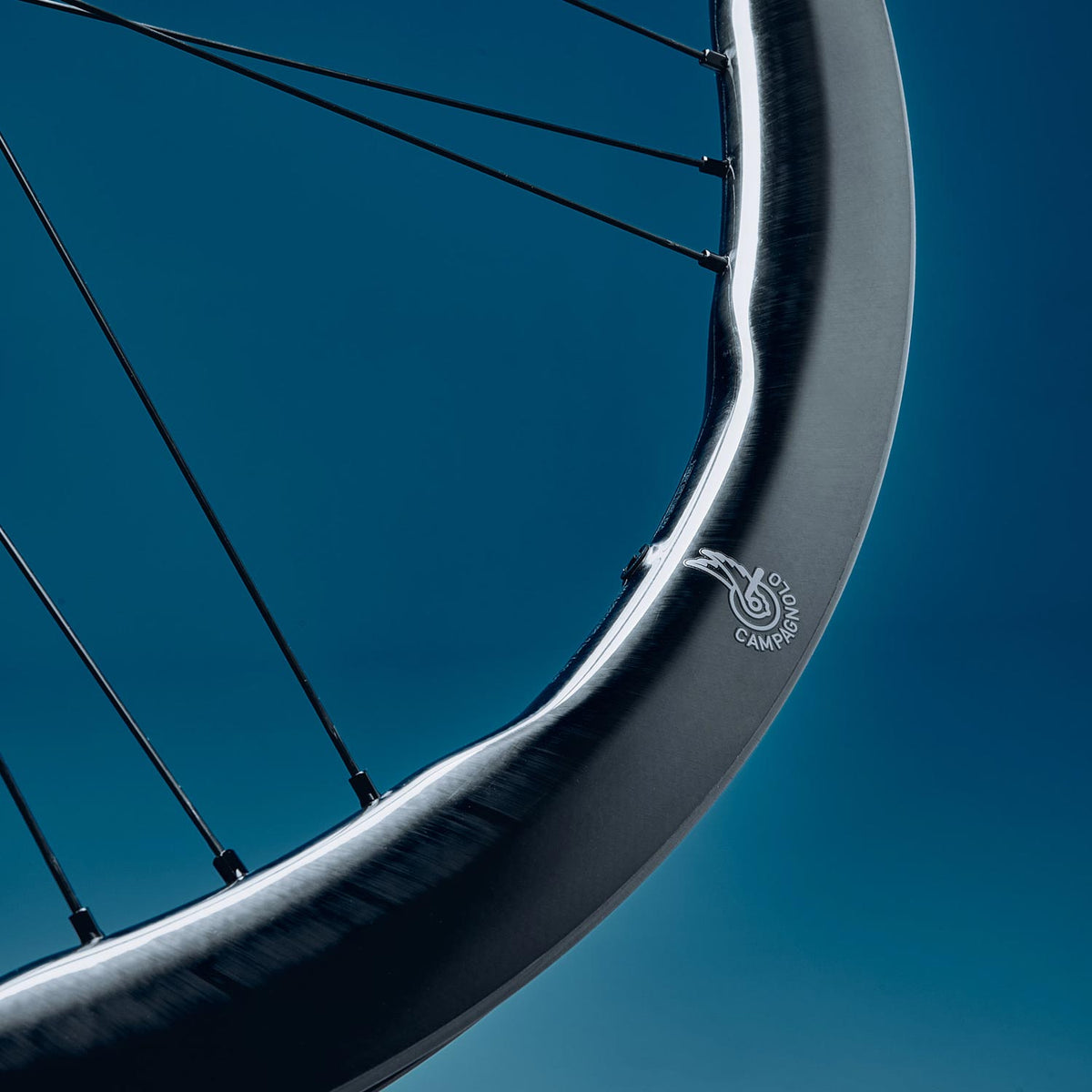 Shamal Dual Profile 2-Way C23 Disc