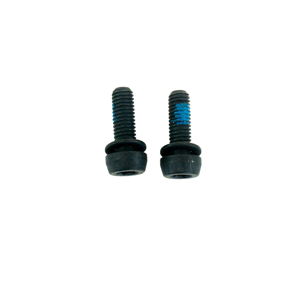 Front Caliper Screws