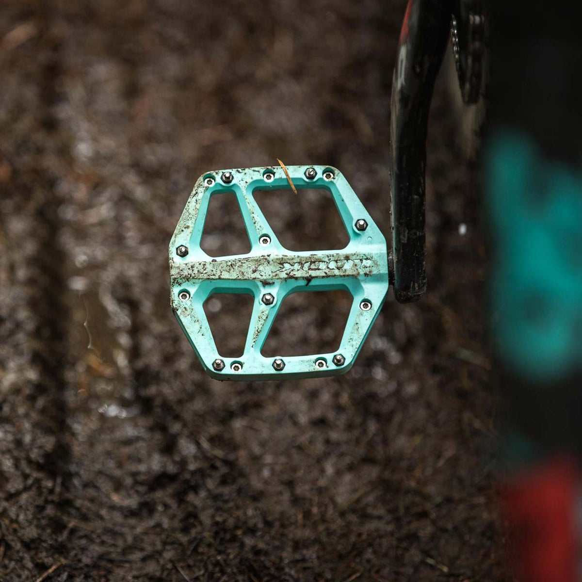 Trail Fusion Flat Blue Pedals