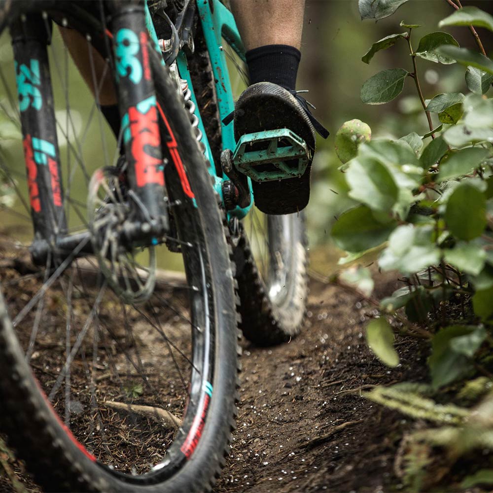 Trail Fusion Flat Blue Pedals