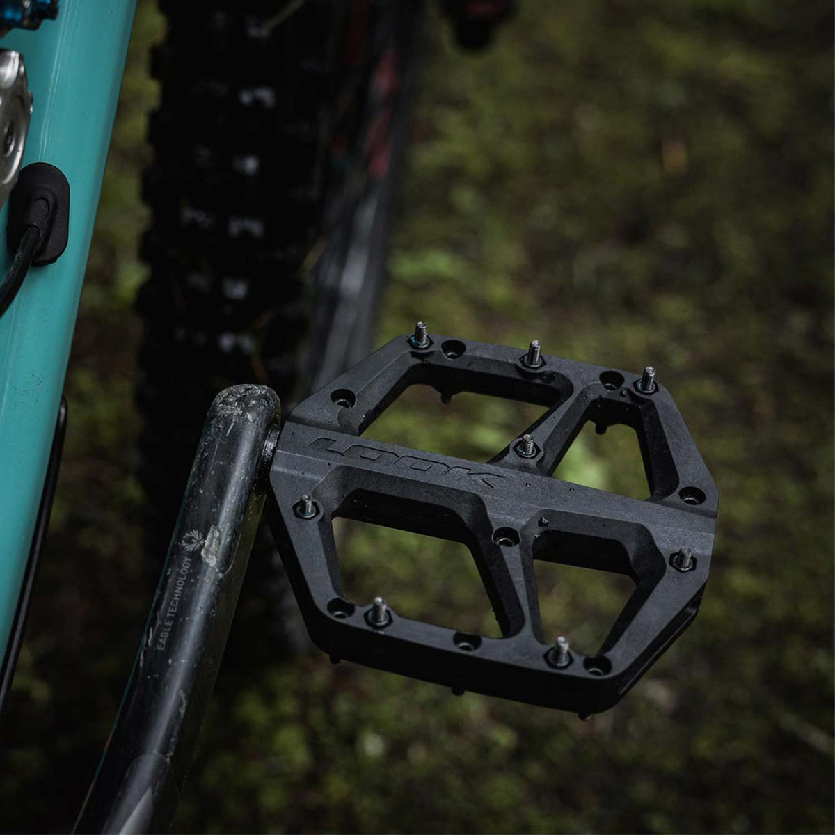 Trail Fusion Flat Black Pedals
