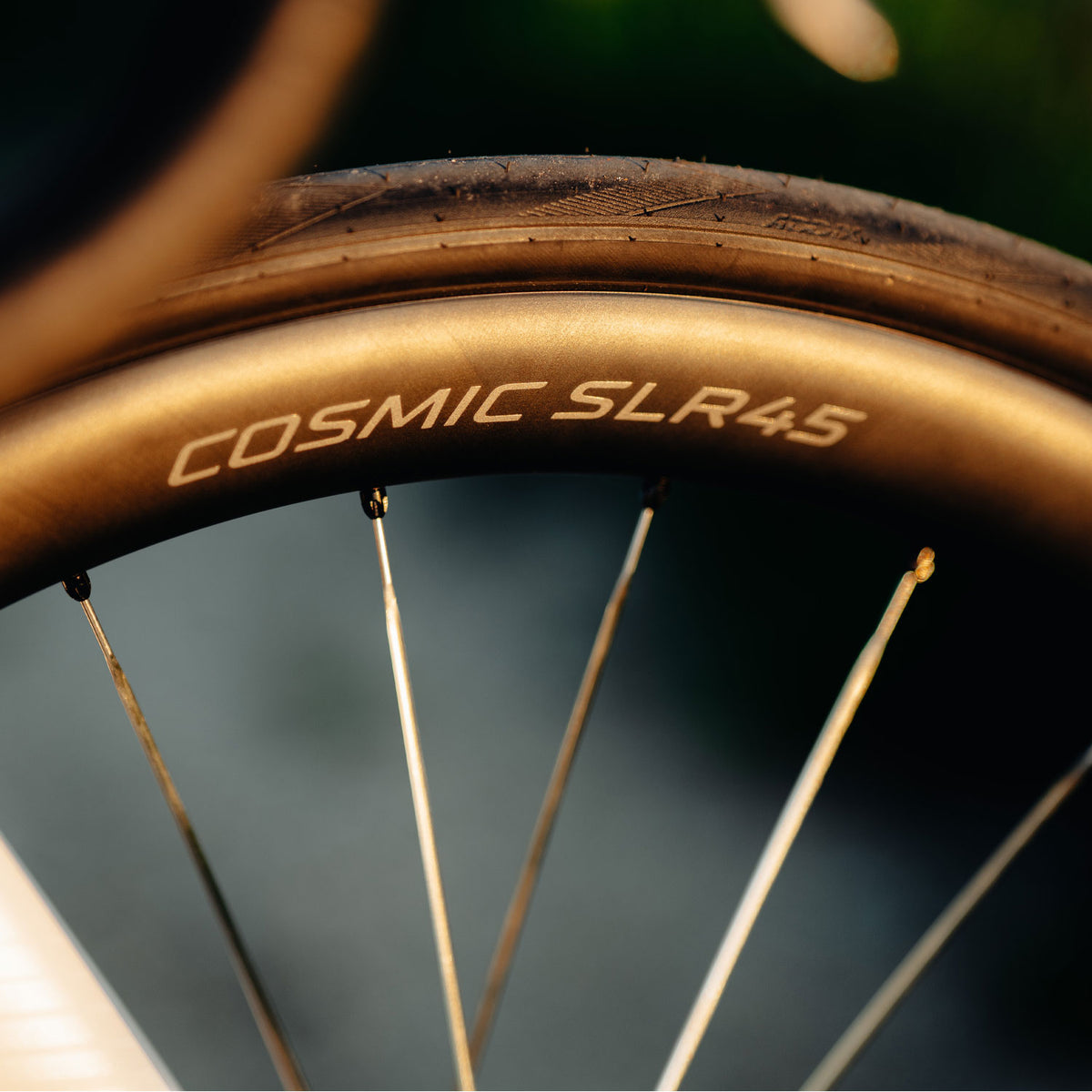Cosmic SLR 45 Silver Ceramic Disc