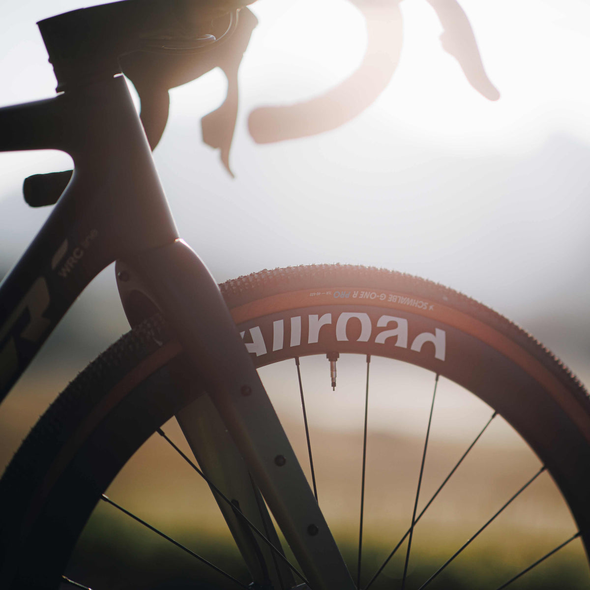 Allroad S Carbon Centre Lock Disc