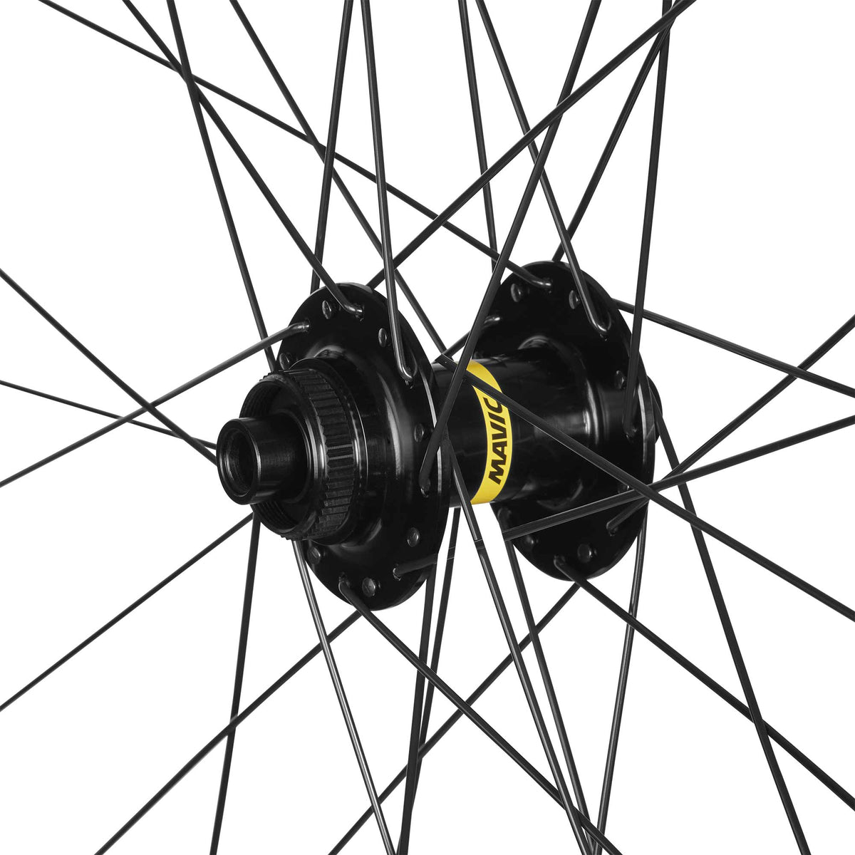 E-Speedcity 1 650b Disc