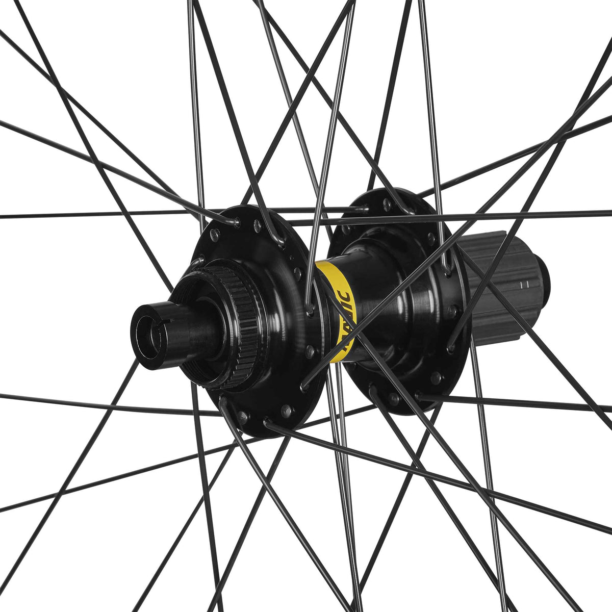 E-Speedcity 1 650b Disc
