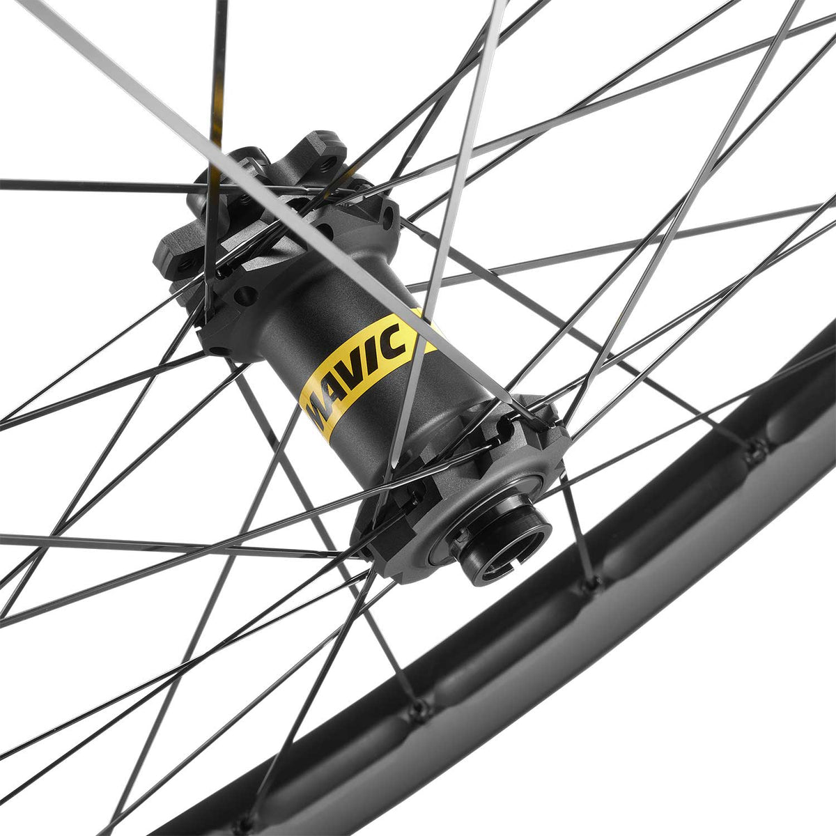 E-Deemax S 29 Centre Lock Disc