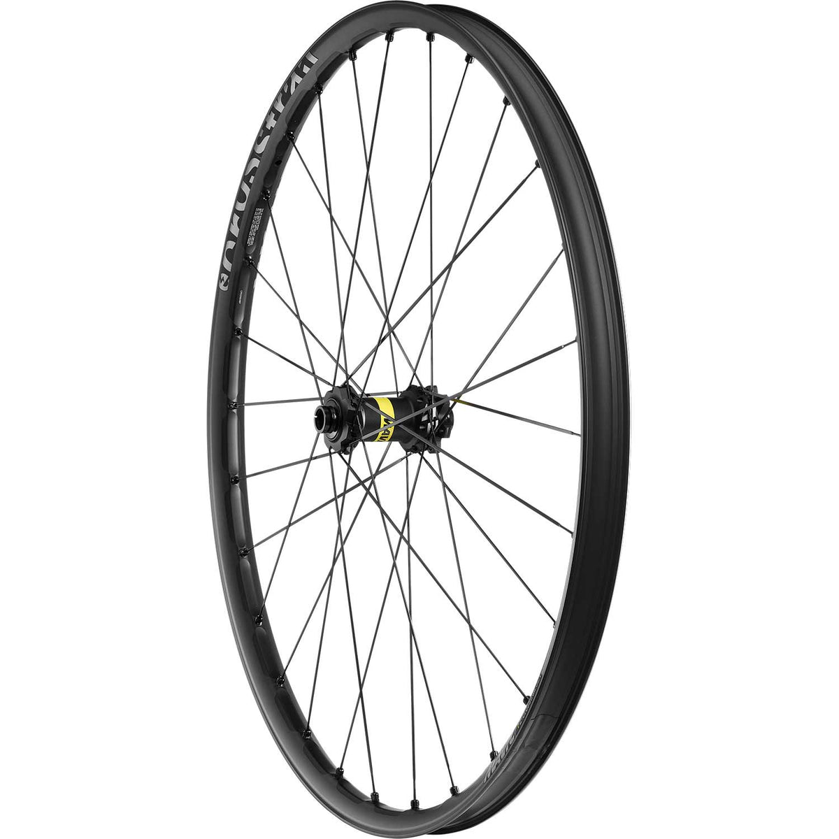 E-Crosstrail SL 29 Centre Lock Disc