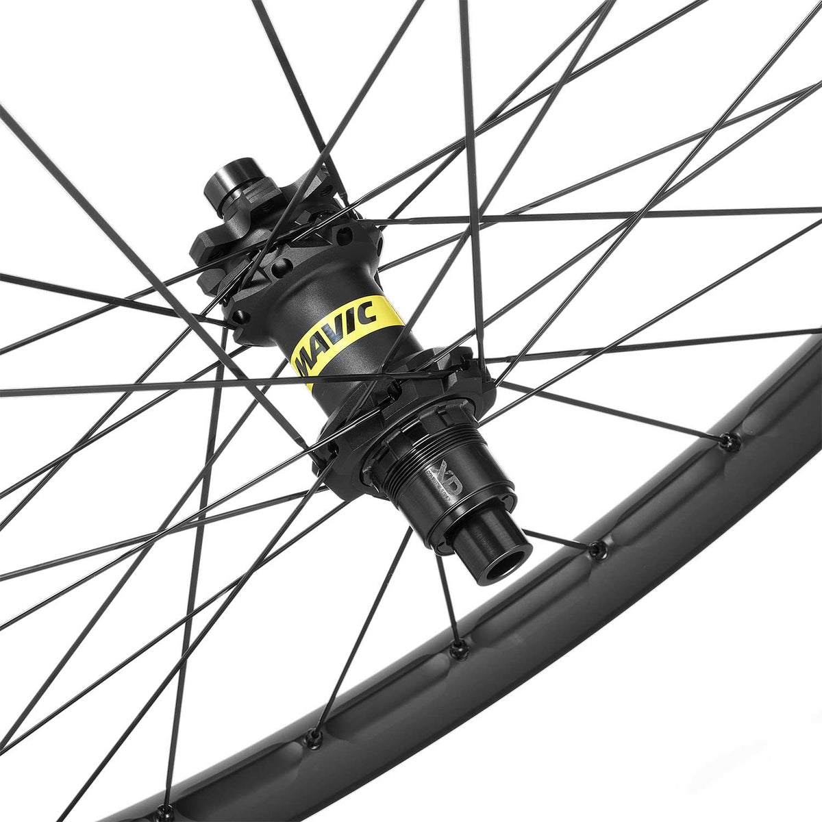 Crosstrail SL 29 6 Bolt Disc