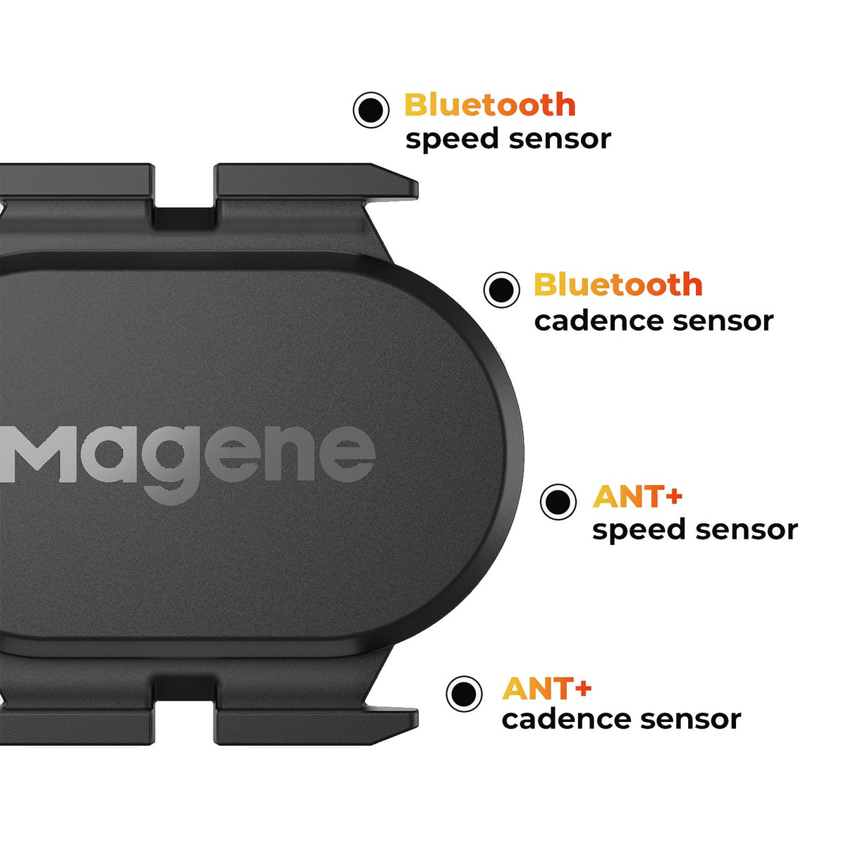 Speed/Cadence Dual-Mode Sensor
