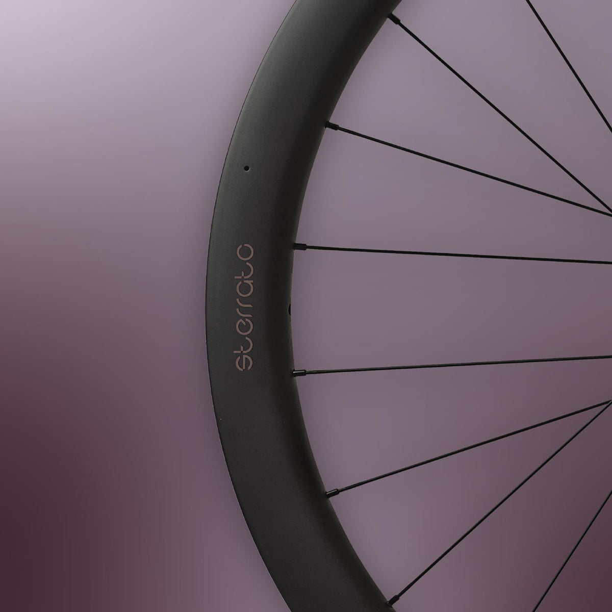 Sterrato 45 Disc Wheels