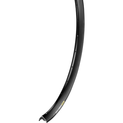 E-XM430 Disc 29" Rim