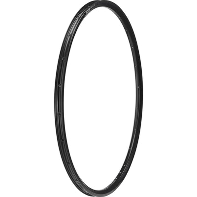 A-22 Disc 29 Rim