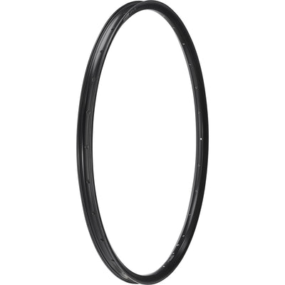 A-27 Disc 29 Rim