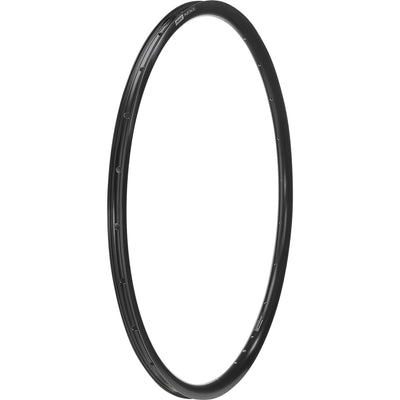P1-21 Disc 29 Rim