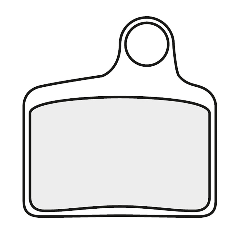 Hayes Stroker Ryde Disc Brake Pads