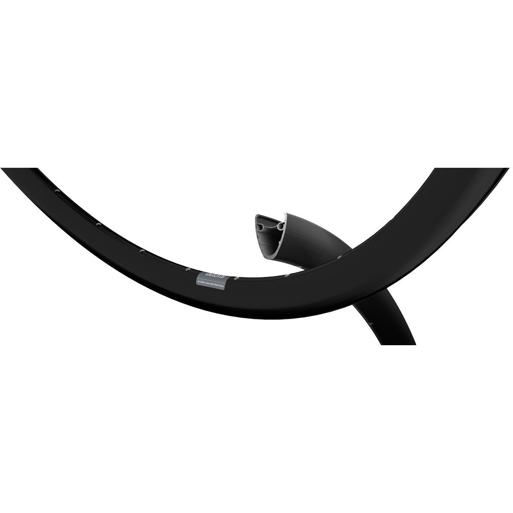 Dutch 19 Disc Rims