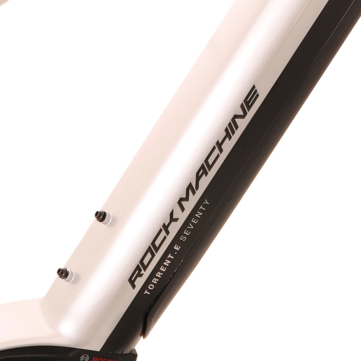 Torrent E70-29 B Silver/Black E-Bike