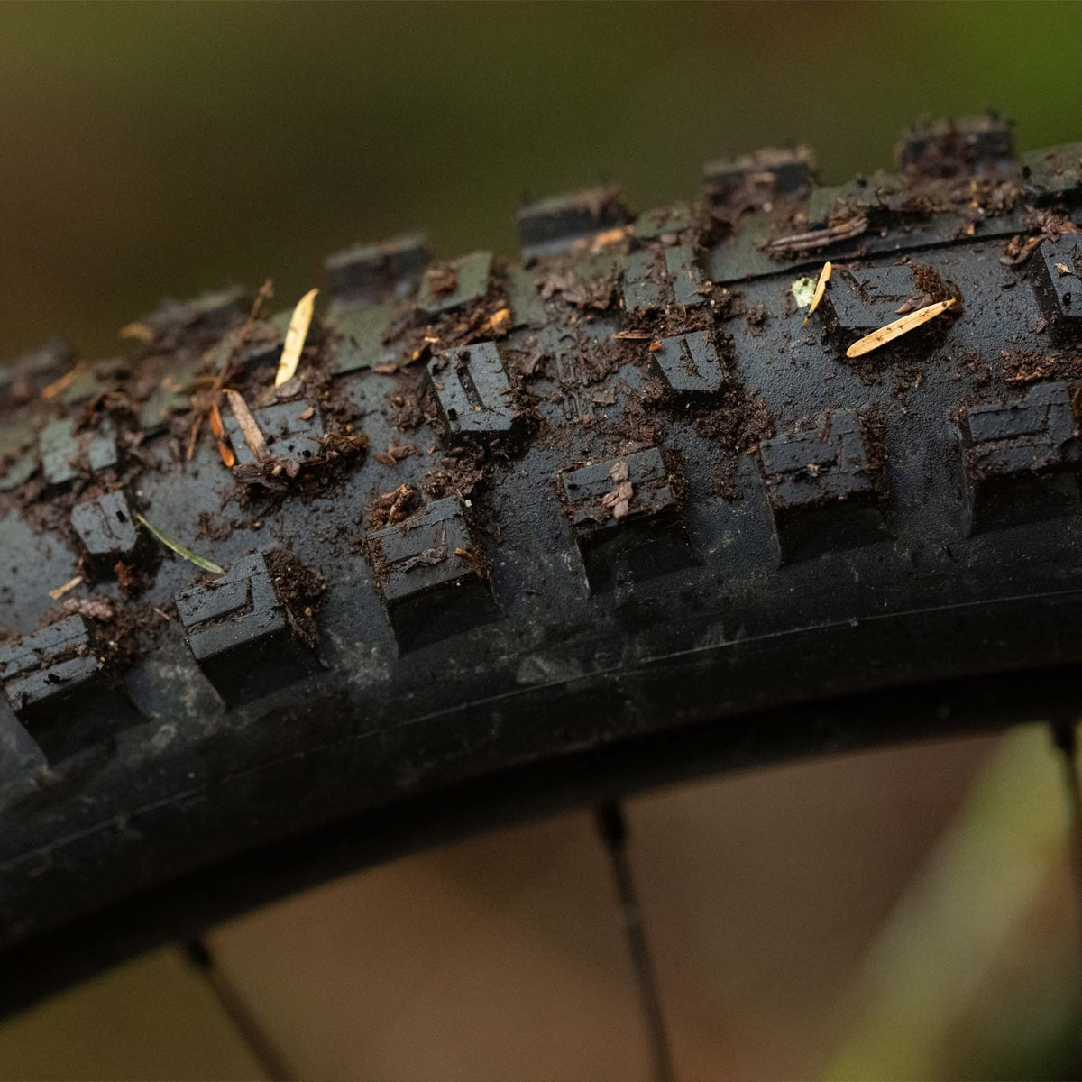 Romy Trail Pro Soft Radial Folding TLR
