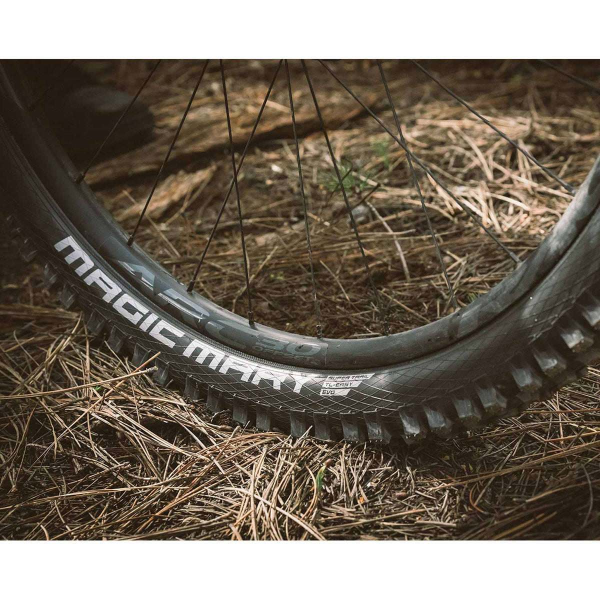 Magic Mary Radial TLE Folding