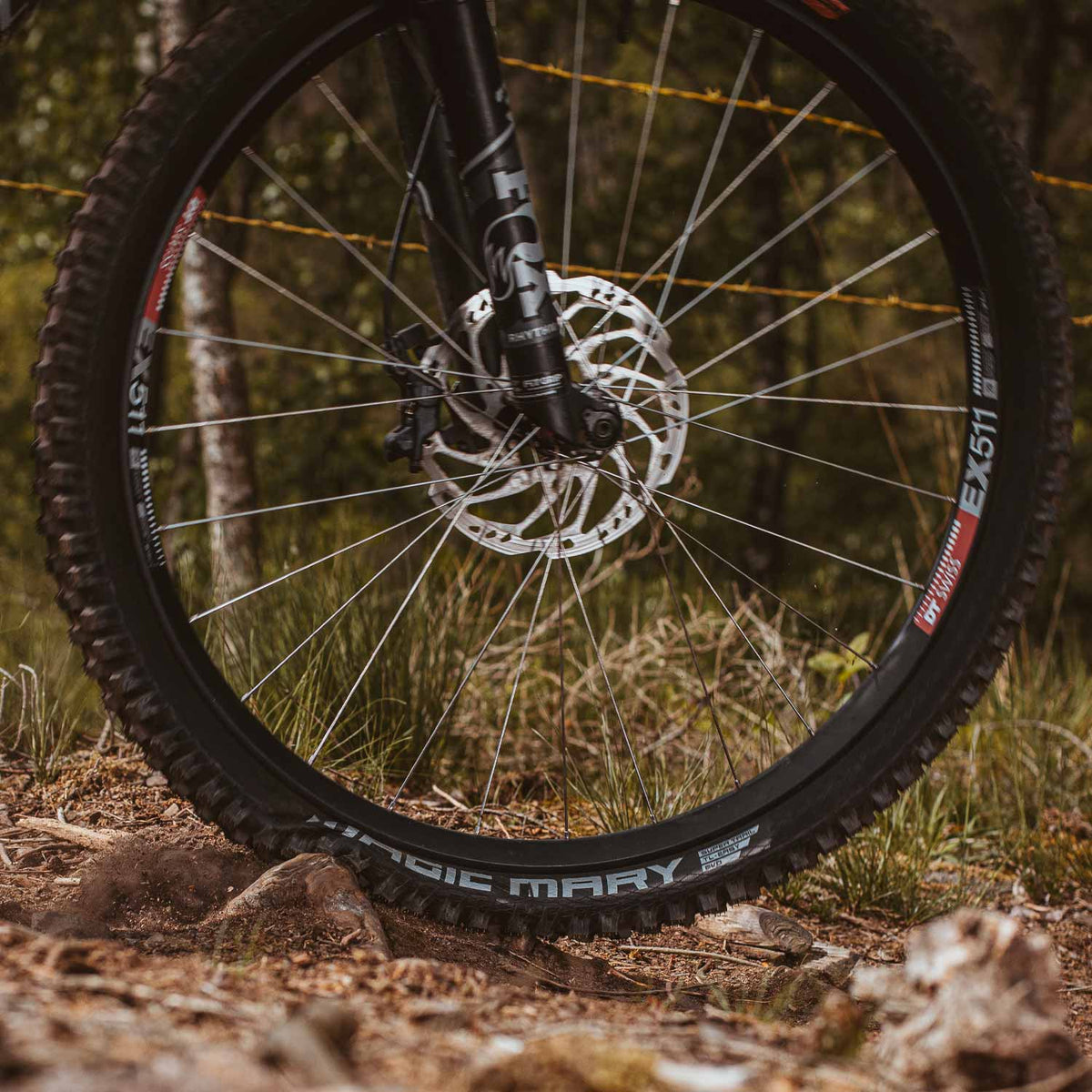 Magic Mary Radial TLE Folding